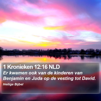 1 Kronieken 12:16 NLD Bible Verse Image