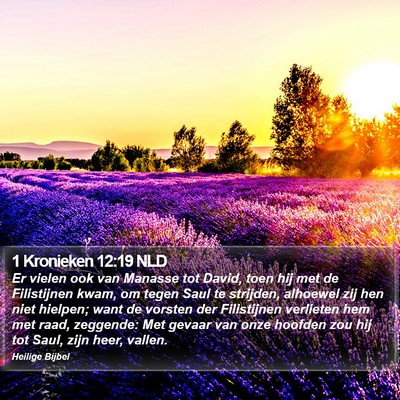 1 Kronieken 12:19 NLD Bible Verse Image