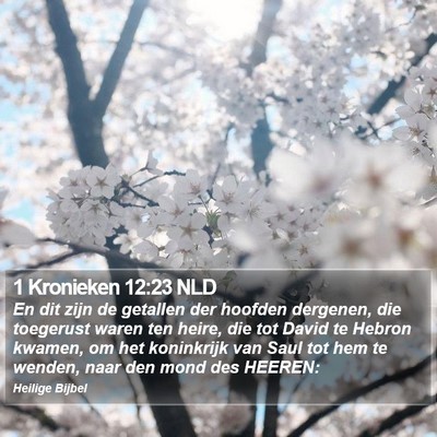 1 Kronieken 12:23 NLD Bible Verse Image