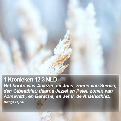 1 Kronieken 12:3 NLD Bible Verse Image