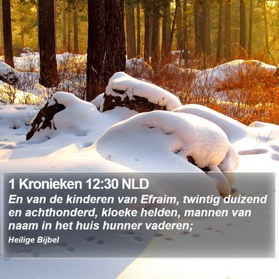 1 Kronieken 12:30 NLD Bible Verse Image