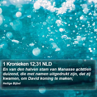 1 Kronieken 12:31 NLD Bible Verse Image