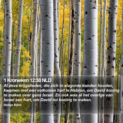1 Kronieken 12:38 NLD Bible Verse Image