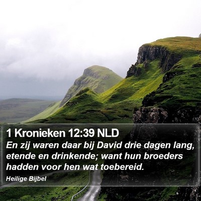 1 Kronieken 12:39 NLD Bible Verse Image
