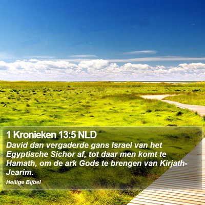 1 Kronieken 13:5 NLD Bible Verse Image