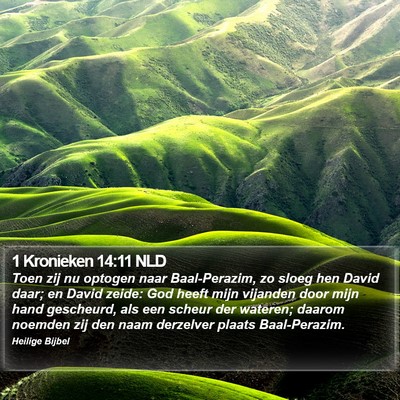 1 Kronieken 14:11 NLD Bible Verse Image
