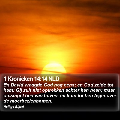 1 Kronieken 14:14 NLD Bible Verse Image