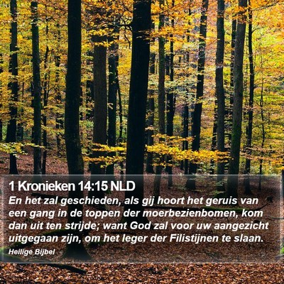 1 Kronieken 14:15 NLD Bible Verse Image