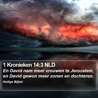 1 Kronieken 14:3 NLD Bible Verse Image