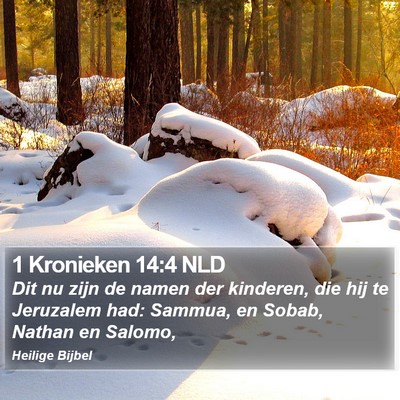 1 Kronieken 14:4 NLD Bible Verse Image