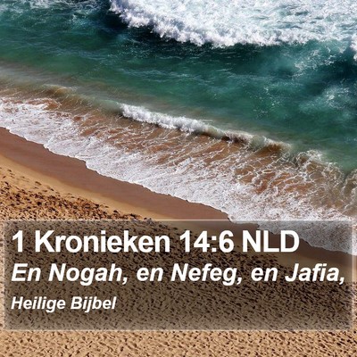 1 Kronieken 14:6 NLD Bible Verse Image