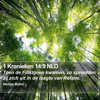 1 Kronieken 14:9 NLD Bible Verse Image