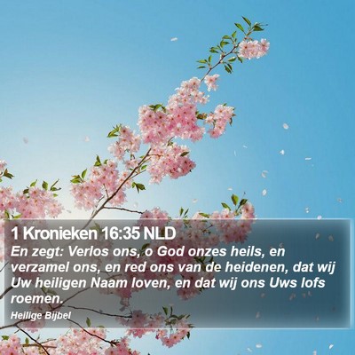 1 Kronieken 16:35 NLD Bible Verse Image
