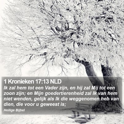 1 Kronieken 17:13 NLD Bible Verse Image