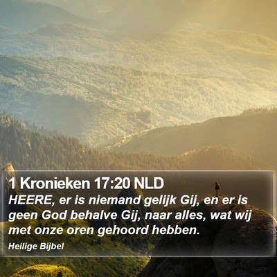 1 Kronieken 17:20 NLD Bible Verse Image