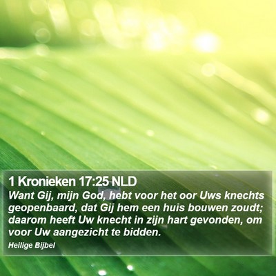 1 Kronieken 17:25 NLD Bible Verse Image