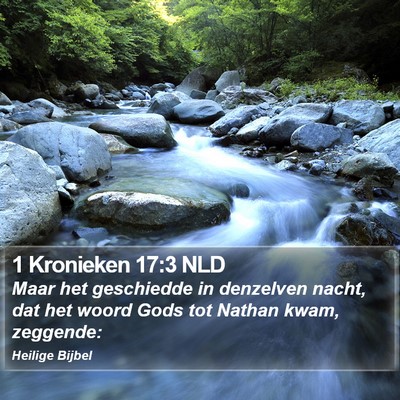 1 Kronieken 17:3 NLD Bible Verse Image
