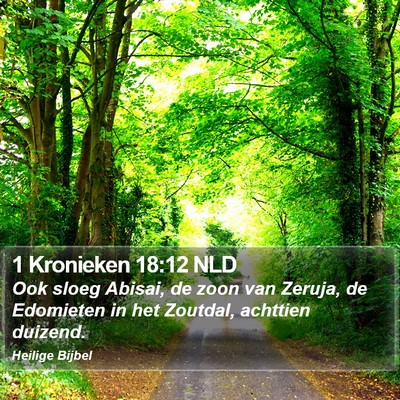 1 Kronieken 18:12 NLD Bible Verse Image