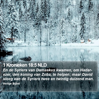 1 Kronieken 18:5 NLD Bible Verse Image