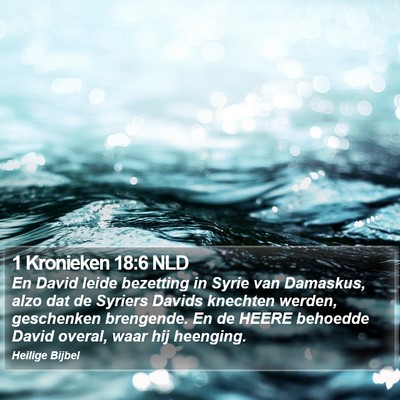 1 Kronieken 18:6 NLD Bible Verse Image