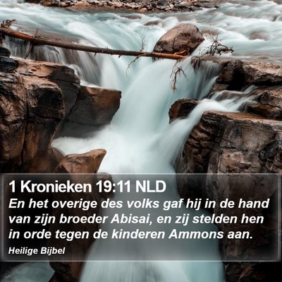 1 Kronieken 19:11 NLD Bible Verse Image