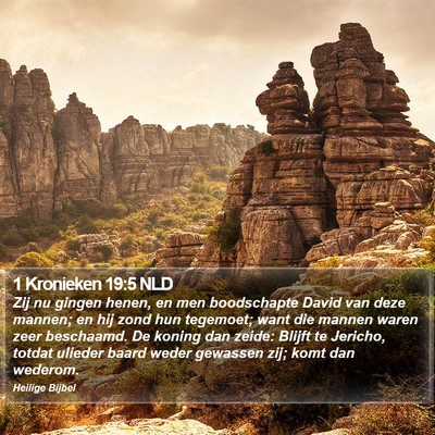 1 Kronieken 19:5 NLD Bible Verse Image