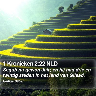 1 Kronieken 2:22 NLD Bible Verse Image