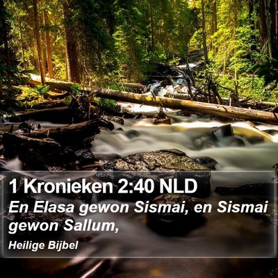 1 Kronieken 2:40 NLD Bible Verse Image