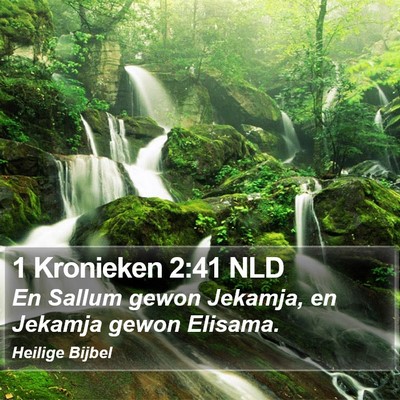 1 Kronieken 2:41 NLD Bible Verse Image
