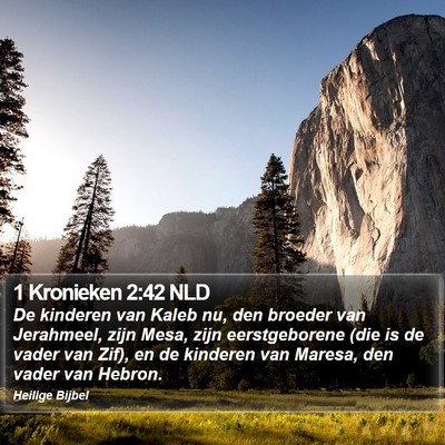 1 Kronieken 2:42 NLD Bible Verse Image