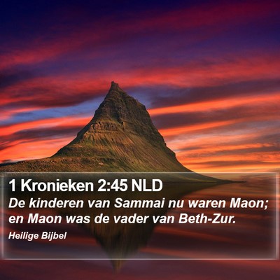 1 Kronieken 2:45 NLD Bible Verse Image