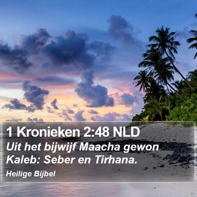 1 Kronieken 2:48 NLD Bible Verse Image