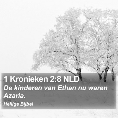 1 Kronieken 2:8 NLD Bible Verse Image