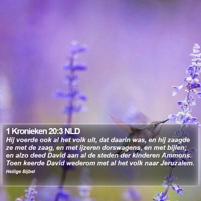 1 Kronieken 20:3 NLD Bible Verse Image