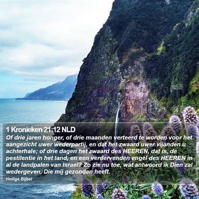1 Kronieken 21:12 NLD Bible Verse Image