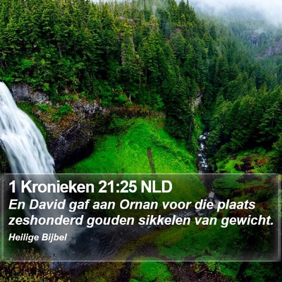 1 Kronieken 21:25 NLD Bible Verse Image