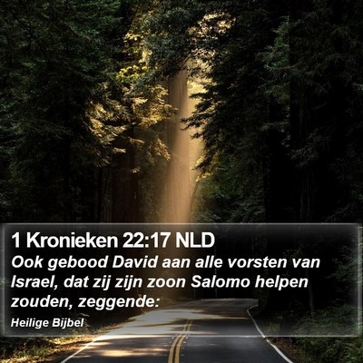 1 Kronieken 22:17 NLD Bible Verse Image