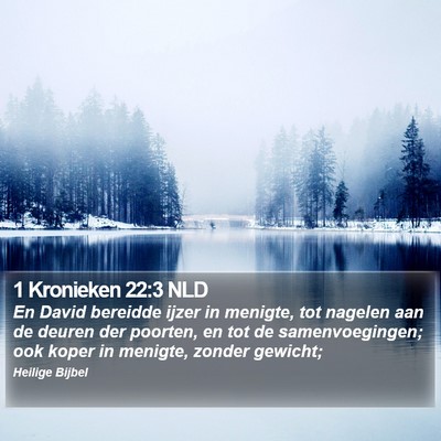 1 Kronieken 22:3 NLD Bible Verse Image