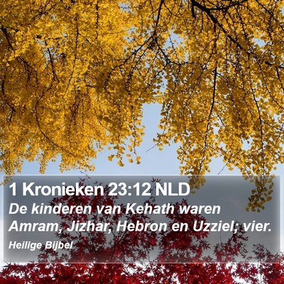1 Kronieken 23:12 NLD Bible Verse Image
