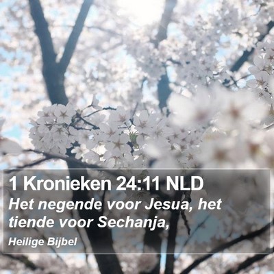 1 Kronieken 24:11 NLD Bible Verse Image