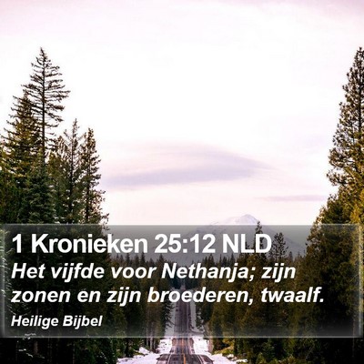 1 Kronieken 25:12 NLD Bible Verse Image