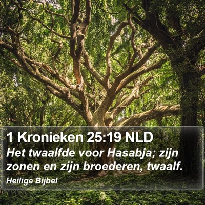 1 Kronieken 25:19 NLD Bible Verse Image