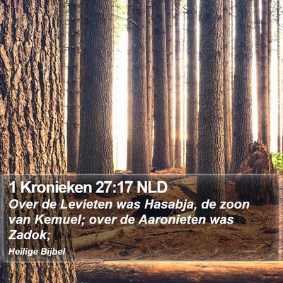 1 Kronieken 27:17 NLD Bible Verse Image