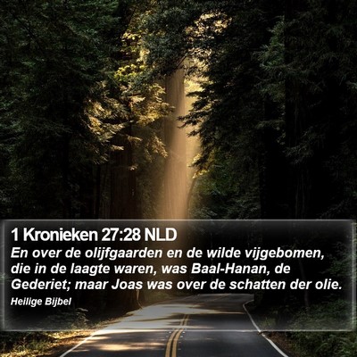 1 Kronieken 27:28 NLD Bible Verse Image