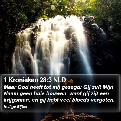 1 Kronieken 28:3 NLD Bible Verse Image
