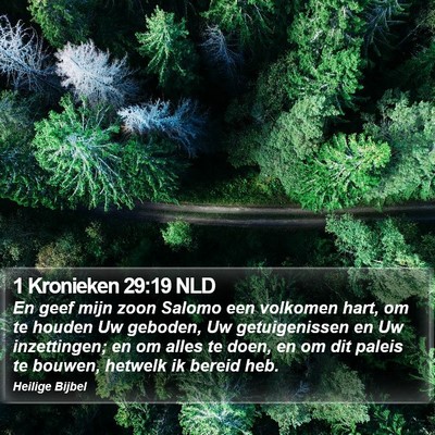 1 Kronieken 29:19 NLD Bible Verse Image