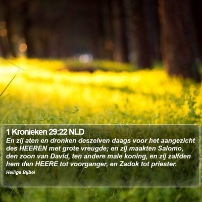 1 Kronieken 29:22 NLD Bible Verse Image
