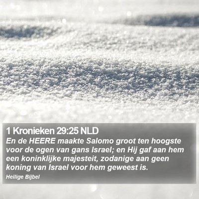 1 Kronieken 29:25 NLD Bible Verse Image