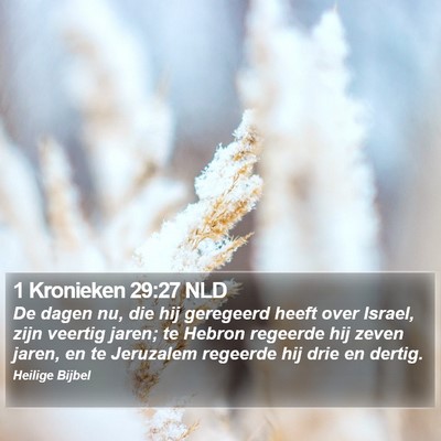 1 Kronieken 29:27 NLD Bible Verse Image