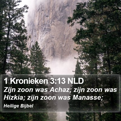 1 Kronieken 3:13 NLD Bible Verse Image